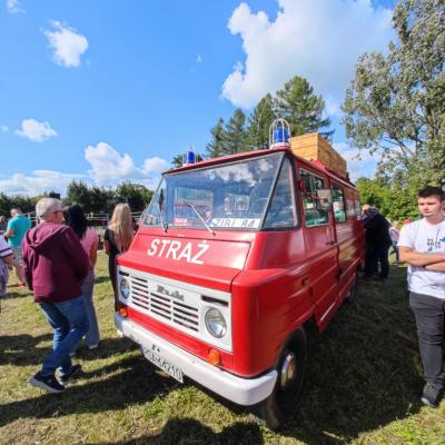Obraz: 46