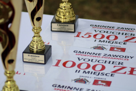 Obraz: 106
