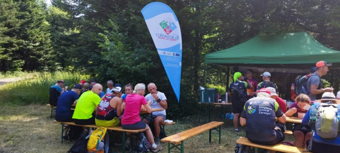 Obraz: 13